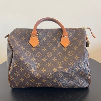 LOUIS VUITTON speedy 30 monogram 1