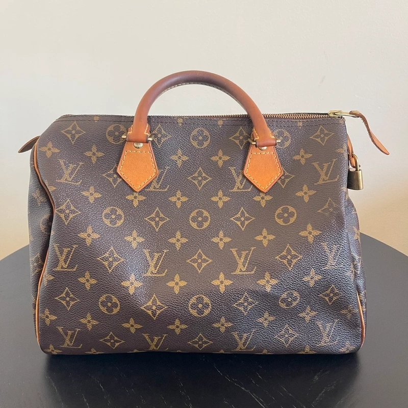 LOUIS VUITTON speedy 30 monogram 1