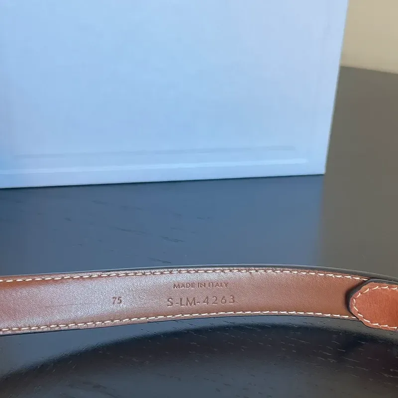 CELINE ceinture Triomphe en cuir de veau naturel & dorée 75 cm - détail du produit 6