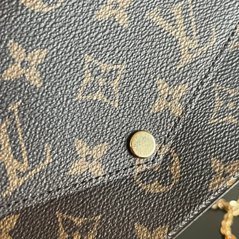 LOUIS VUITTON Félicie en toile monogram - détail du produit 12